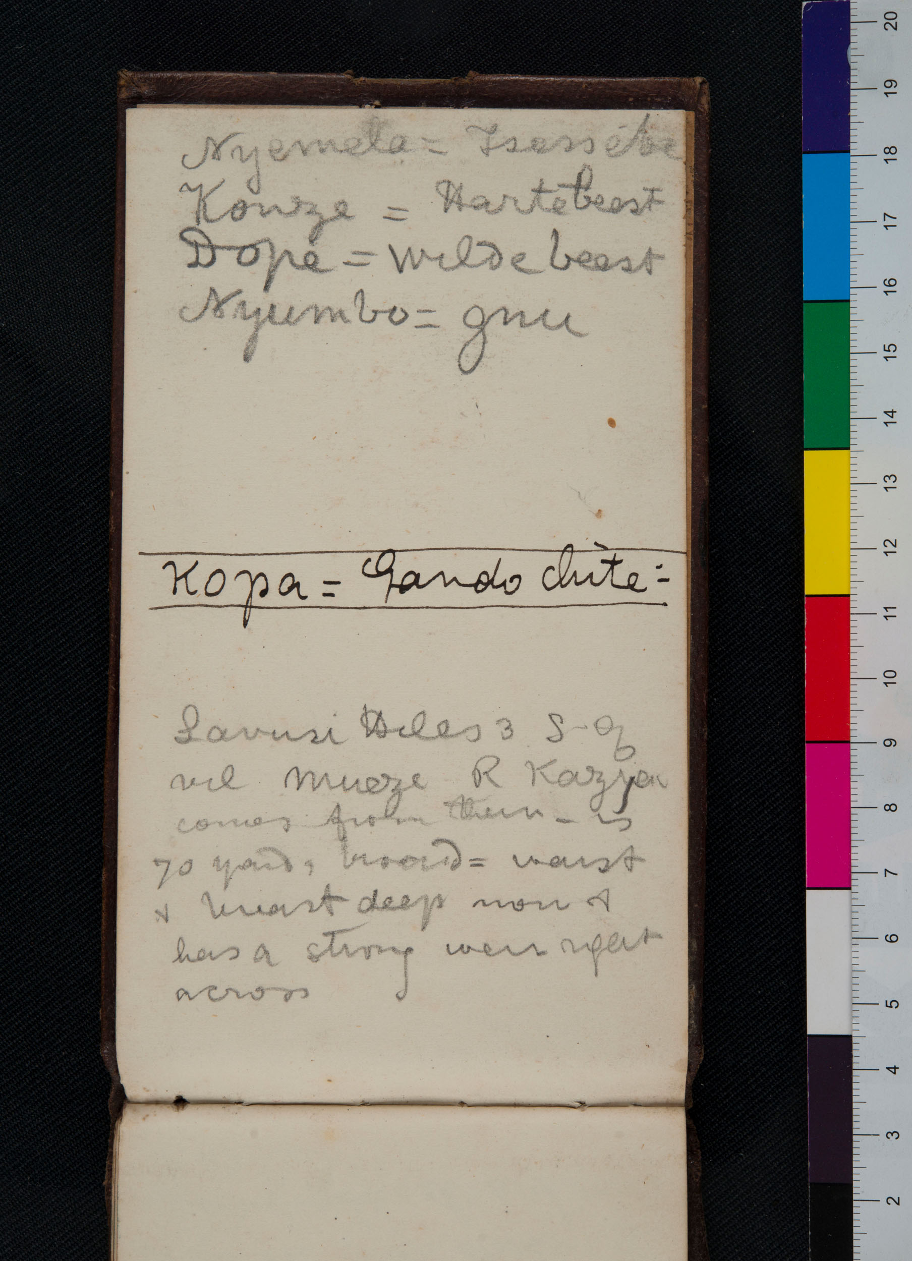 Field Diary XVII An Overview Livingstone Online