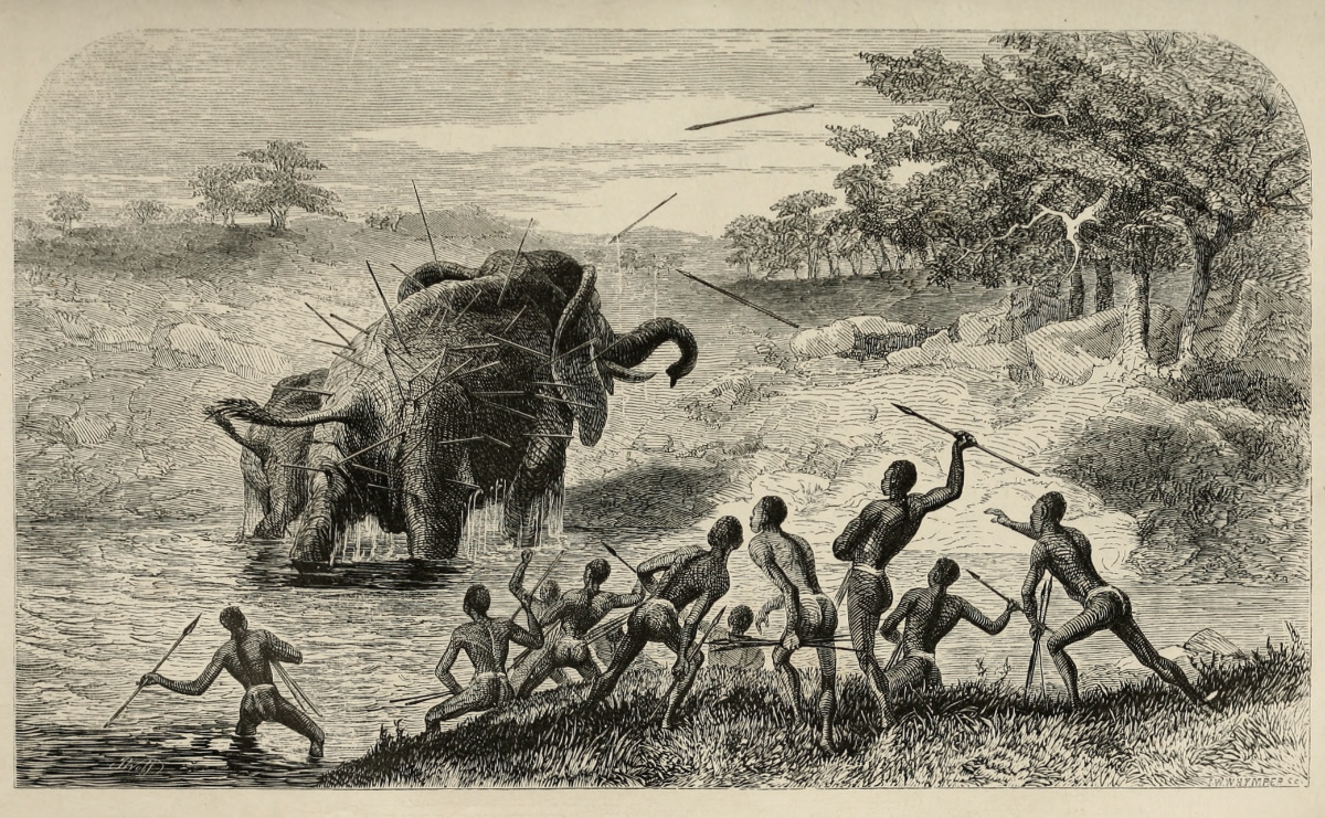 Female Elephant Pursued With Javelins, Protecting Her Young. Illustration from Missionary Travels (Livingstone 1857aa:opposite 562). Courtesy of the Internet Archive (https://archive.org/details/missionarytravel03livi).