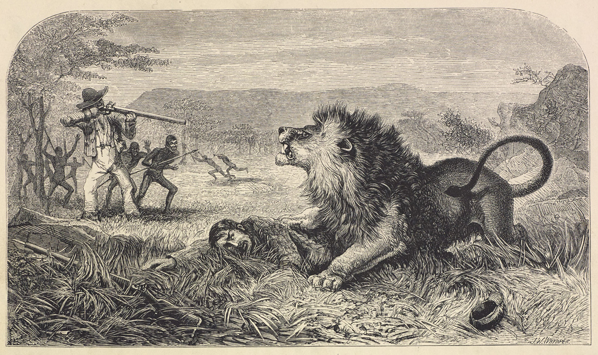 The Missionary's Escape from the Lion. Illustration from Missionary Travels (Livingstone 1857aa:opposite 13). Copyright National Library of Scotland. Creative Commons Share-alike 2.5 UK: Scotland (https://creativecommons.org/licenses/by-nc-sa/2.5/scotland/). The Missionary's Escape from the Lion. Illustration from Missionary Travels (Livingstone 1857aa:opposite 13). Copyright National Library of Scotland. Creative Commons Share-alike 2.5 UK: Scotland (https://creativecommons.org/licenses/by-nc-sa/2.5/scotland/).