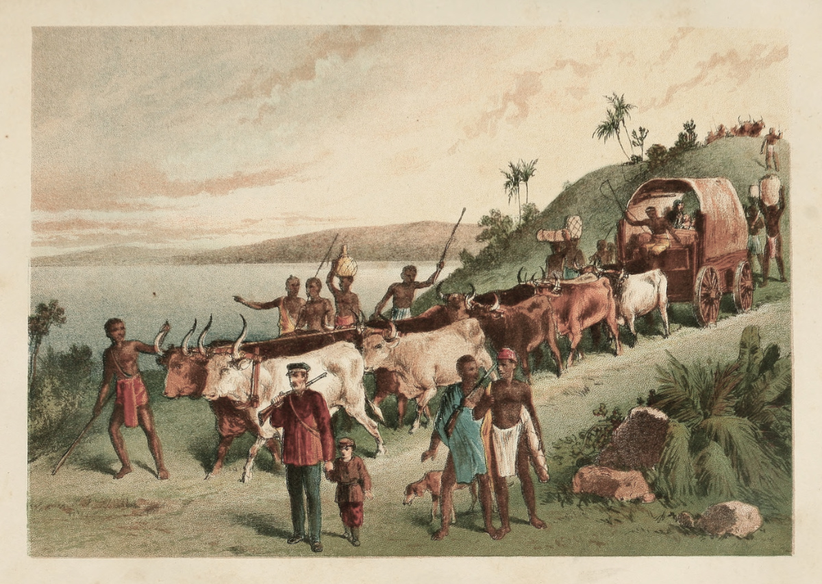 The Arrival at Lake Ngami. Illustration from John S. Roberts, The Life and Explorations of David Livingstone L.L.D. (London: John G. Murdoch, 1870), opposite 76. Courtesy of the Internet Archive (https://archive.org/details/lifeexplorations00robe).