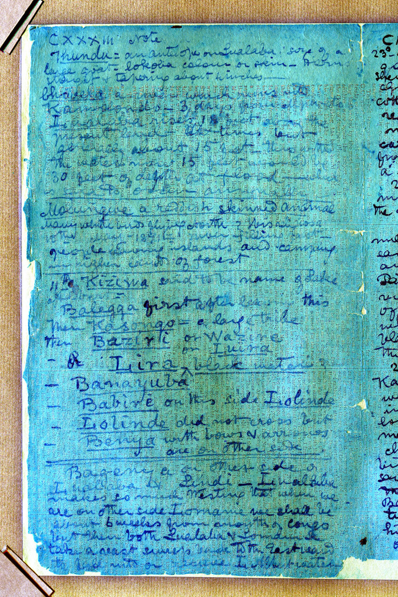 A processed spectral image of a page of the 1871 Field Diary (Livingstone 1871f:CXXXIII [v.1] spectral_ratio), detail. Copyright David Livingstone Centre, Blantyre. As relevant, copyright Dr. Neil Imray Livingstone Wilson. Creative Commons Share-alike 2.5 UK: Scotland (https://creativecommons.org/licenses/by-nc-sa/2.5/scotland/).