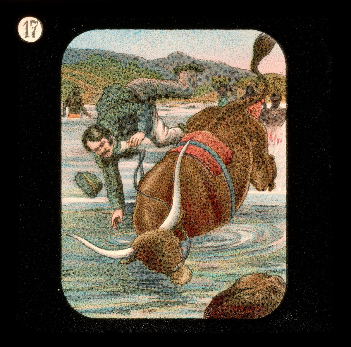 'Thrown from an Ox.' Image from Lantern Slides of the Life, Adventures, and Work of David Livingstone, Date Unknown: [17]. Image courtesy of the Smithsonian Libraries, Washington, D.C.