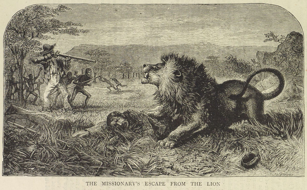 'The Missionary's Escape from the Lion.' Illustration from 'The Life and Labours of David Livingstone,' The Graphic, 25 April 1874: 397. Copyright National Library of Scotland. Creative Commons Share-alike 2.5 UK: Scotland (https://creativecommons.org/licenses/by-nc-sa/2.5/scotland/).