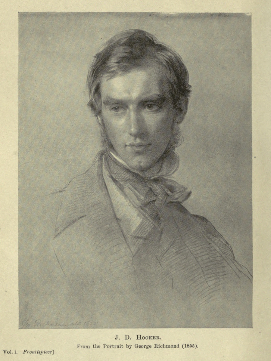 J. D. Hooker. From the Portrait by George Richmond (1855). Illustration from Leonard Huxley, Life and Letters of Sir Joseph Dalton Hooker O.M., G.C.S.I., 2 vols (London: John Murray, 1918), 1:frontispiece. Courtesy of the Internet Archive (https://archive.org/details/lifelettersofsir01hookrich).