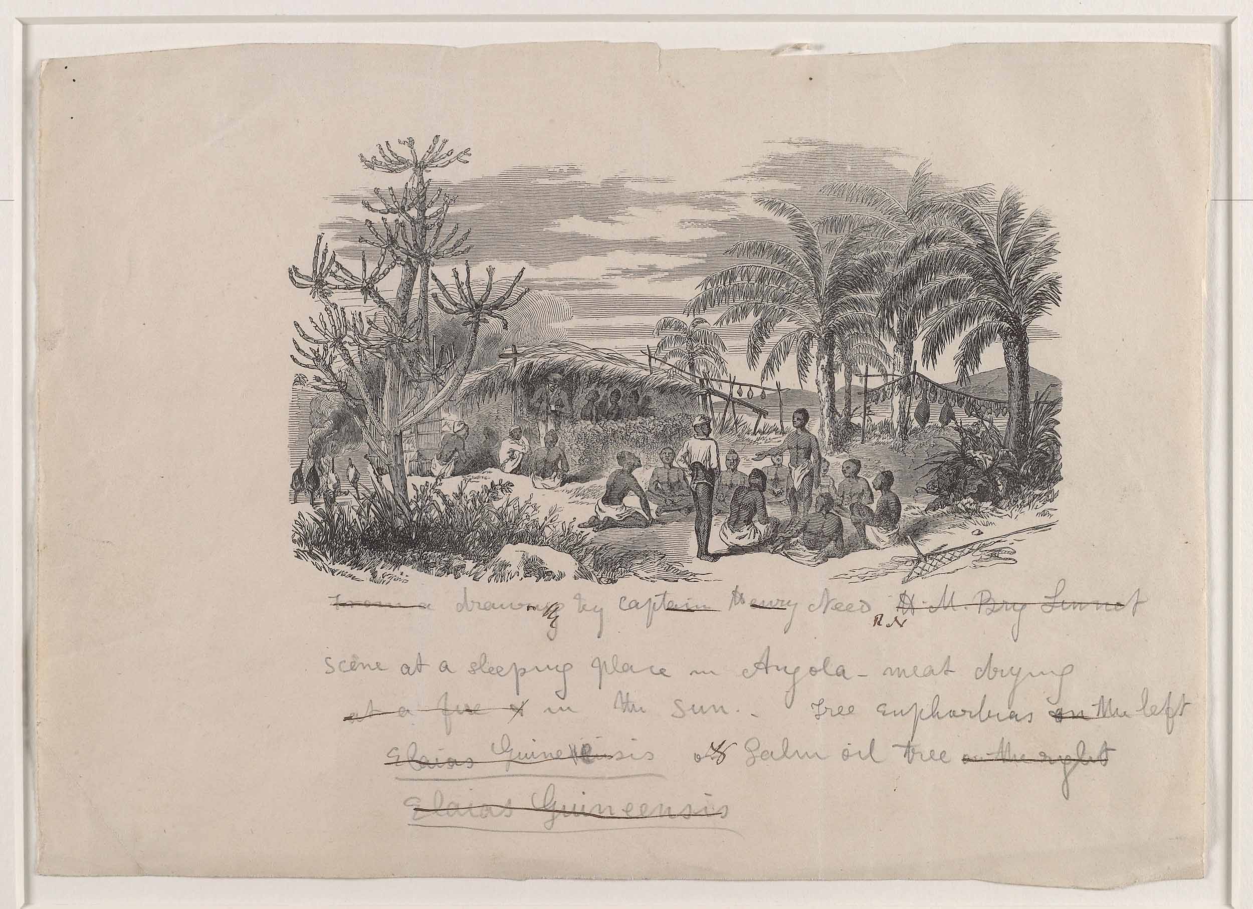 David Livingstone, Scene at a sleeping-place in Angola