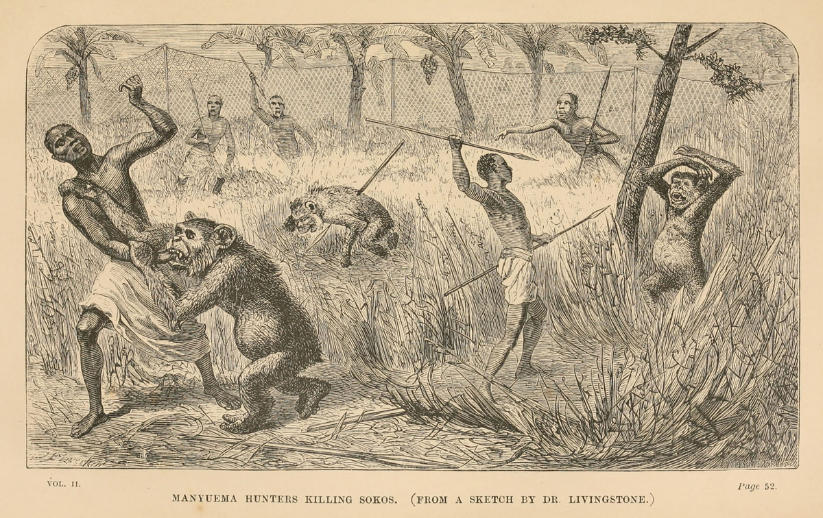 Manyuema Hunters Killing Sokos. (From a Sketch by Dr. Livingstone.) Illustration from Livingstone 1874,2:opposite 52. Courtesy of Internet Archive
